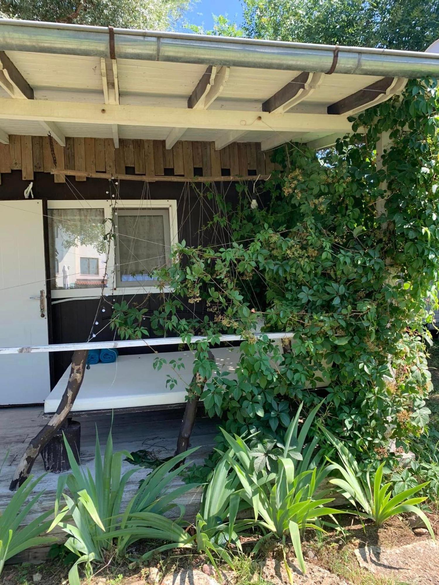 Bungalow "Pod Varbata" 洛泽内茨 外观 照片